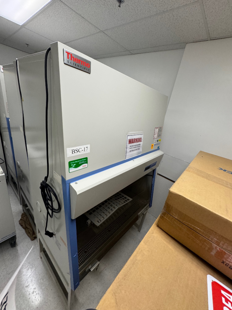 Image of Thermo 1300 Series A2 4' Biosafety Cabinet
